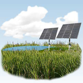 environmental-img